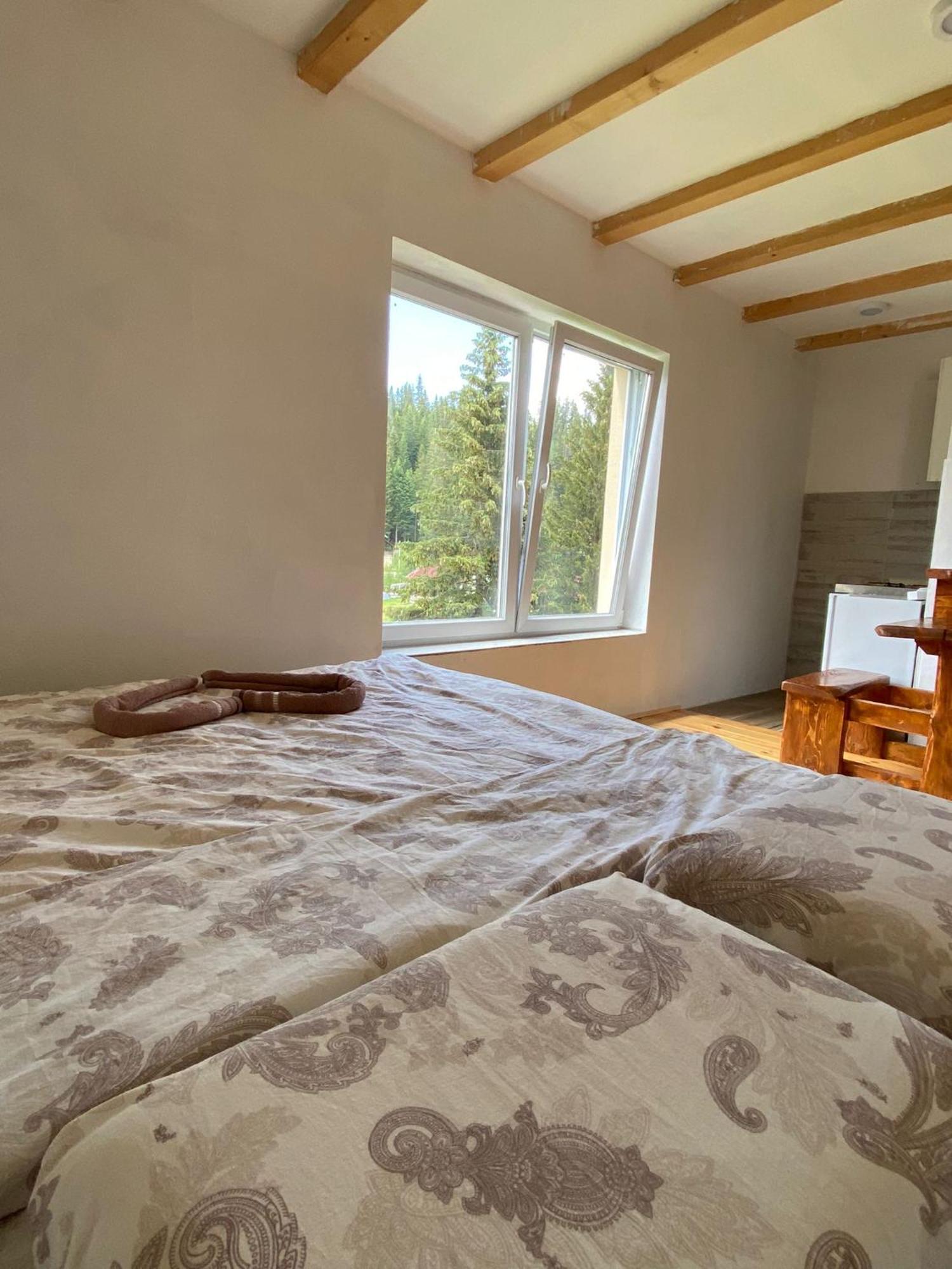 Apartment Durmitor Žabljak Oda fotoğraf