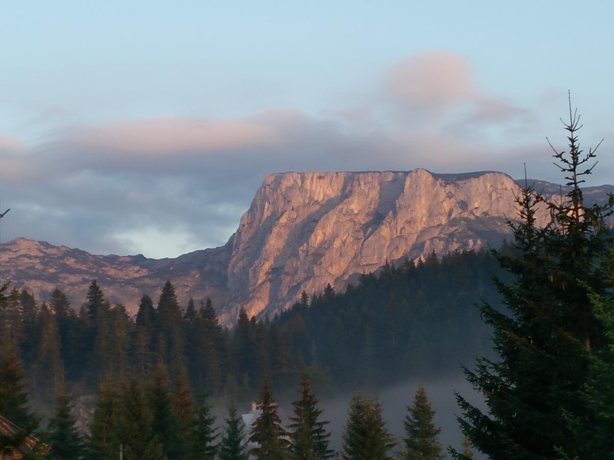 Apartment Durmitor Žabljak Dış mekan fotoğraf