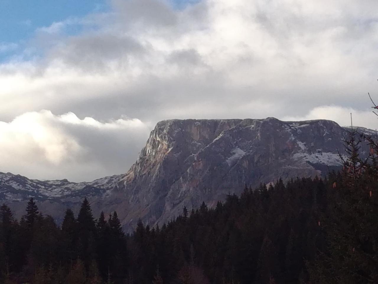 Apartment Durmitor Žabljak Dış mekan fotoğraf