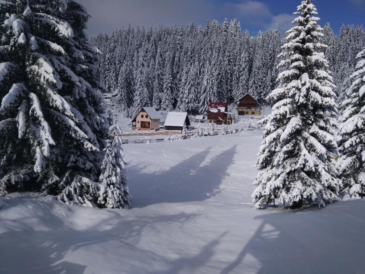 Apartment Durmitor Žabljak Dış mekan fotoğraf