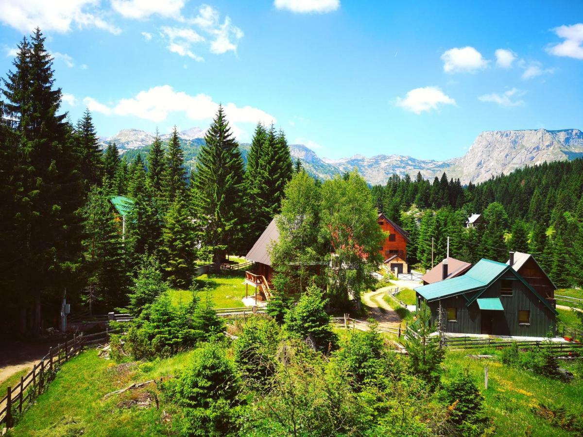 Apartment Durmitor Žabljak Dış mekan fotoğraf