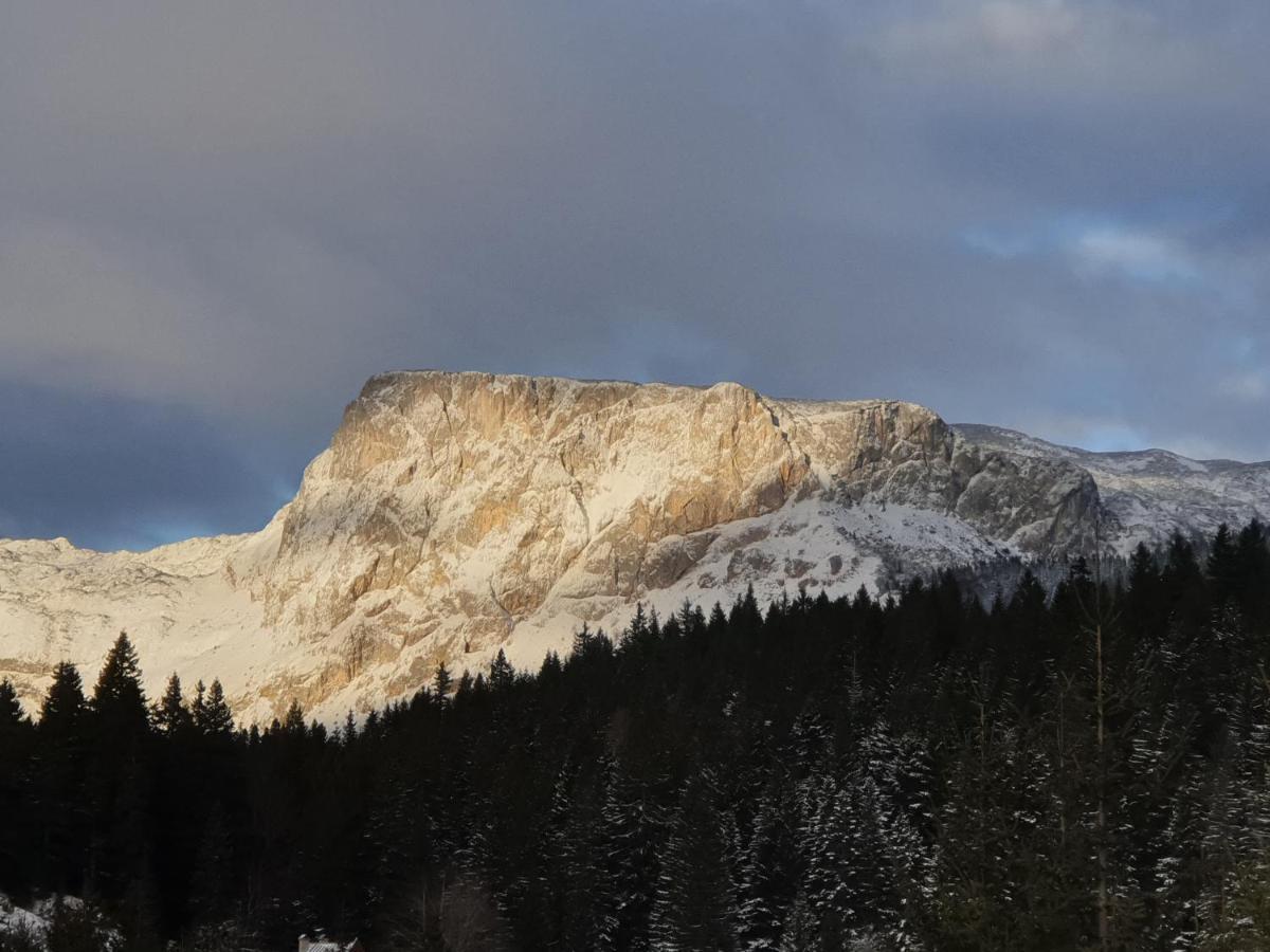 Apartment Durmitor Žabljak Dış mekan fotoğraf